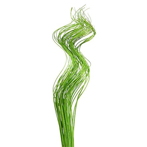 Itens Ting Ting Encaracolado 60cm Verde 40 unidades