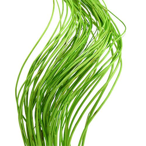 Itens Ting Ting Encaracolado 60cm Verde 40 unidades