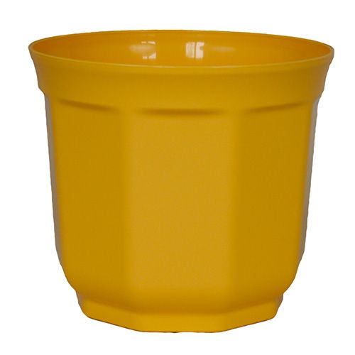 Floristik24 Plantador Tino 13 cm amarelo (10 unidades)