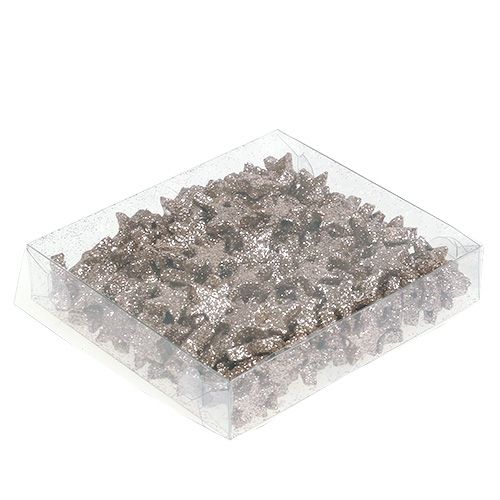 Floristik24 Decoração de mesa estrela mica champanhe 1,5cm 144p
