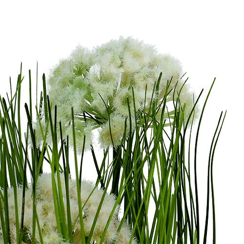 Floristik24 Decoração de mesa relva decorativa em vaso verde 30cm