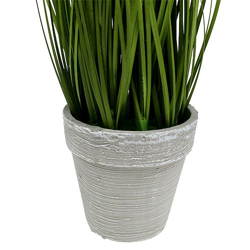 Floristik24 Decoração de mesa relva decorativa em vaso verde 30cm
