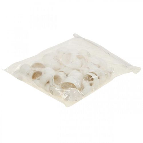 Floristik24 Decoração de mesa marítima, conchas de caracóis vazias branco 3-4,5cm 500g