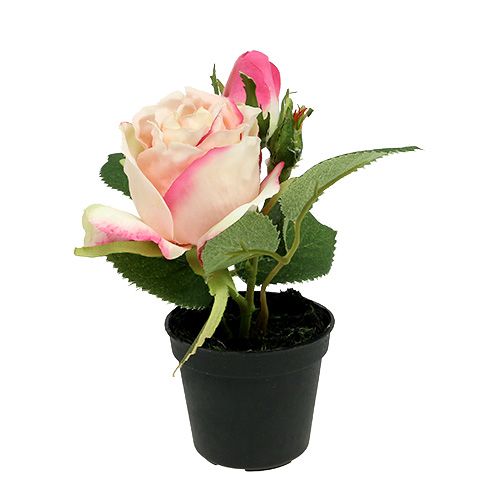 Floristik24 Decoração de mesa rosa em pote creme de 14cm