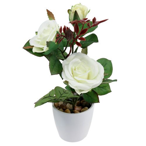 Floristik24 Decoração de mesa rosa em vaso branco 24cm