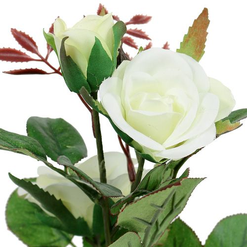 Floristik24 Decoração de mesa rosa em vaso branco 24cm