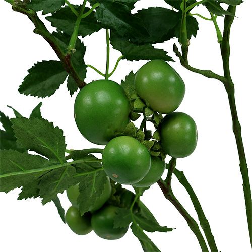 Floristik24 Ramo de tomate C 60cm verde