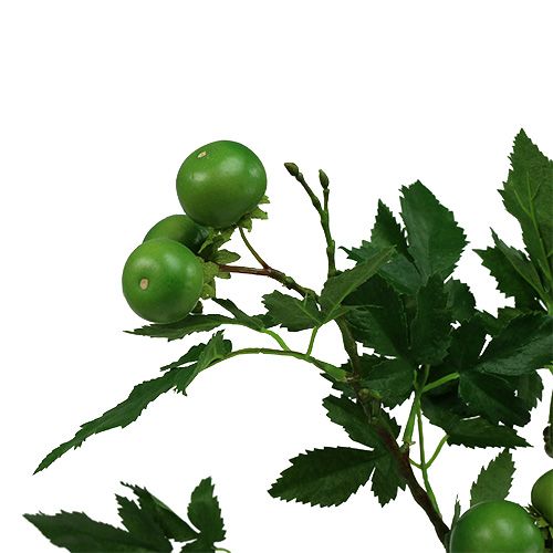 Floristik24 Ramo de tomate C 60cm verde