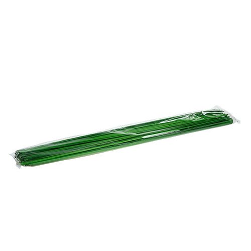 Floristik24 Tonkin verde 70cm 150p.
