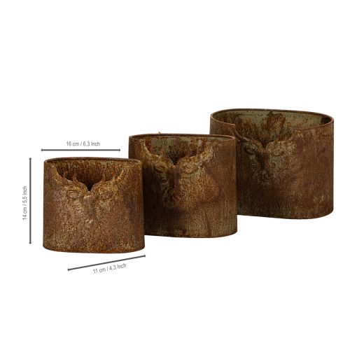 Conjunto de 3 vasos de metal ovais rústicos com 24 cm em formato de veado | Floristik24.pt