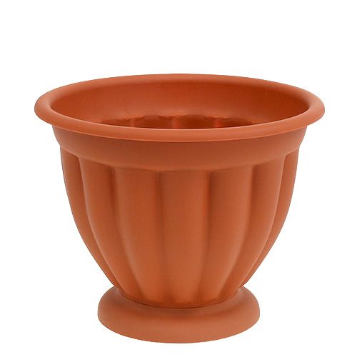 Floristik24 Pote com base Ø17cm H14cm