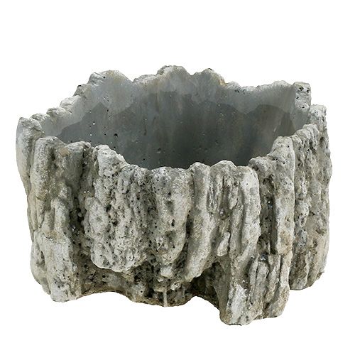 Floristik24 Pote com casca de 20,5 cm x 17 cm 1p