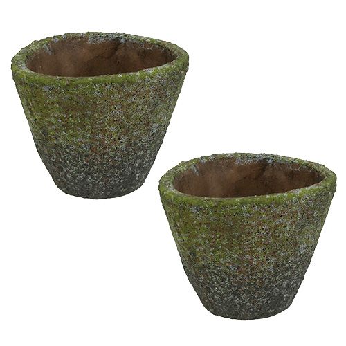 Floristik24 Vaso para plantar Ø12cm Alt.11cm 2pçs