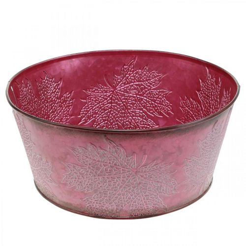 Floristik24 Tigela de plantas para o outono, recipiente de metal com decoração de folhas, pote decorativo vinho tinto Ø25cm H11cm