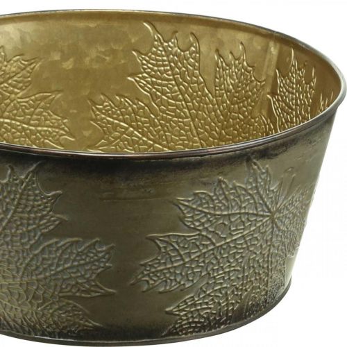Floristik24 Tigela de outono, vaso de metal com decoração de folhas, vaso dourado Ø25cm Alt.10cm