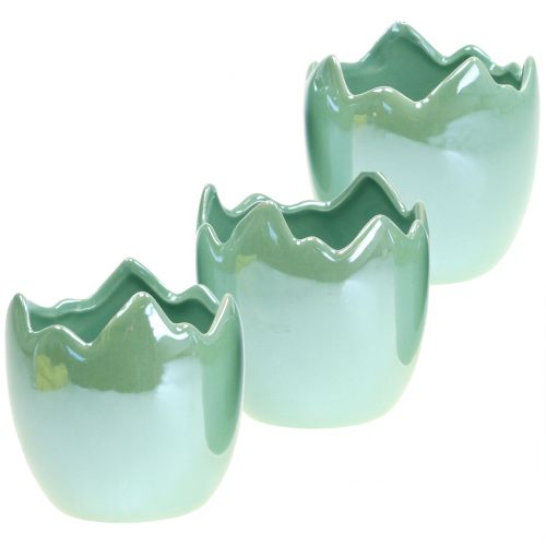 Plantador de casca de ovo verde claro madrepérola Ø8cm Alt.9cm 3pcs