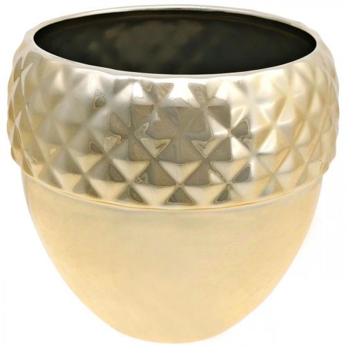 Itens Vaso de cerâmica, bolota dourada, decoração de Natal Ø18cm Alt.16,5cm