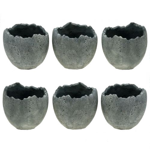 Floristik24 Pote para plantas Casca de ovo Ø12cm Alt.11.5cm 6pcs