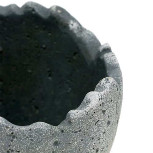Floristik24 Pote para plantas Casca de ovo Ø12cm Alt.11.5cm 6pcs