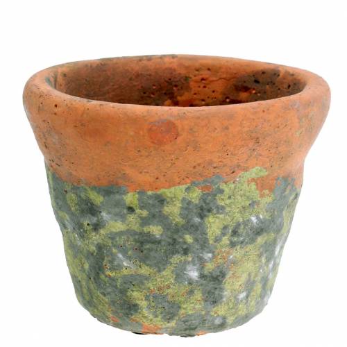Floristik24 Vaso para plantas vintage argila natural Ø14,5 cm Alt 12 cm 2 unidades