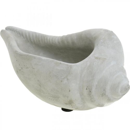 Floristik24 Vaso de planta de concha, concha de caracol de tigela de planta, decoração de concreto marítimo L17cm H7.5cm 3 peças