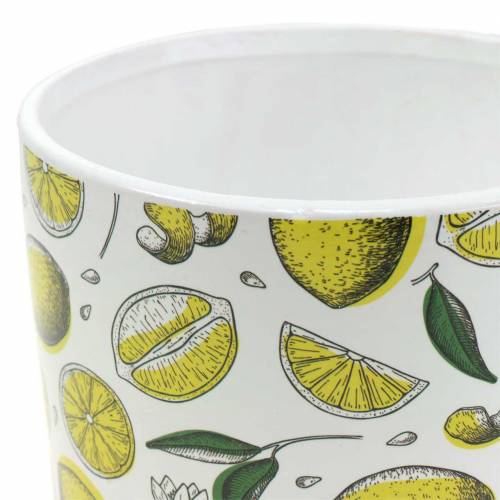 Floristik24 Floreira amarelo limão Ø8/10/13cm conjunto de 3