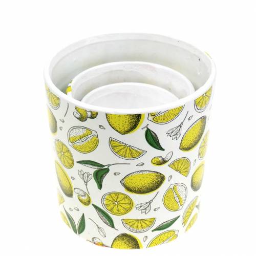 Floristik24 Floreira amarelo limão Ø8/10/13cm conjunto de 3