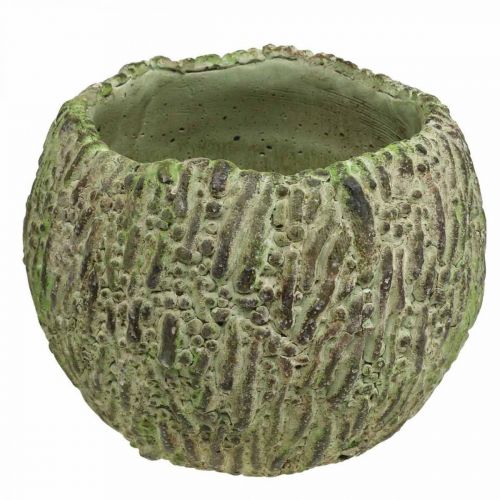 Floristik24 Plantador concreto antigo verde, marrom plantador Ø13cm