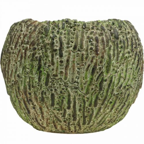 Itens Plantador concreto antigo verde, vaso marrom redondo Ø15.5cm