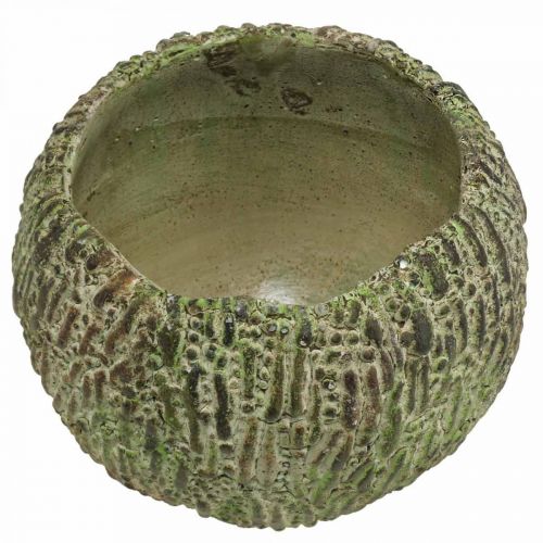 Itens Plantador concreto antigo verde, vaso marrom redondo Ø15.5cm