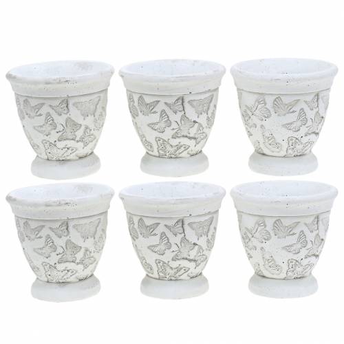 Floristik24 Copo para vaso de plantador com borboletas Ø11cm Alt.10cm 6pcs