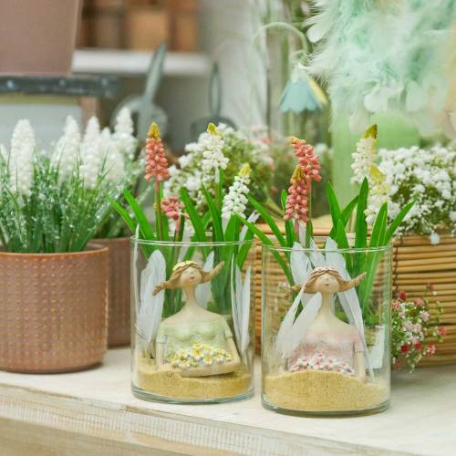 Floristik24 Jacinto uva em pote de bétula rosa 24cm