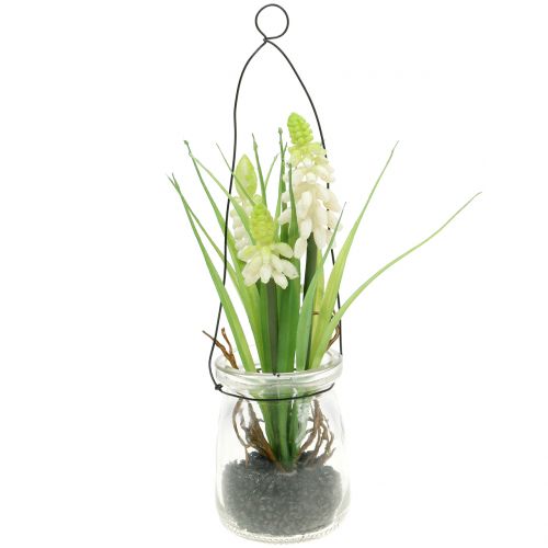 Floristik24 Jacinto de uva branco em copo para pendurar Alt.22cm