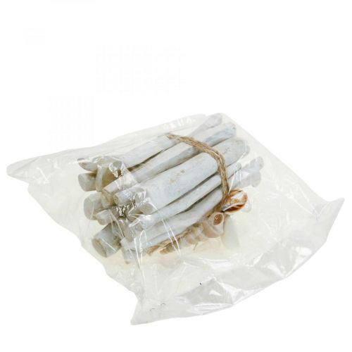 Itens Pacote de Madeira Deco Madeira Flutuante Branco L15cm