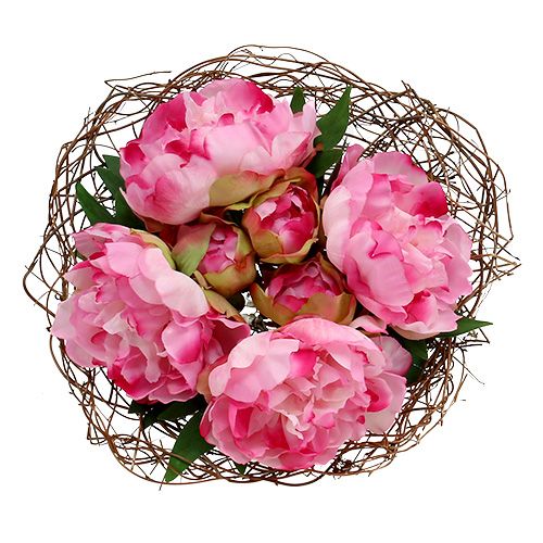 Floristik24 Funil manga trepadeira Ø30cm natural 8pcs