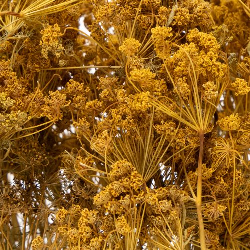 Itens Buquê de flores secas com delicadas flores para decoração romântica vintage, 55 cm