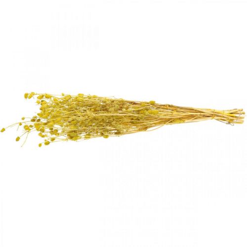 Itens Flores secas cardo amarelo seco cardo morango 100g