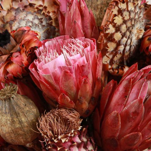Itens Flores secas mix protea rosa alcachofra papoula 38cm 580g