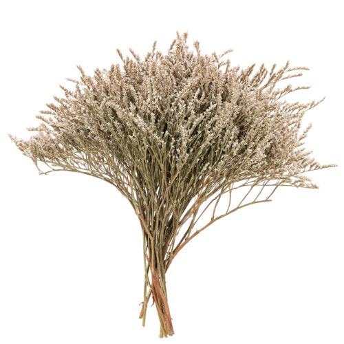 Itens Ramo de lavanda-da-praia seca, Statice natural, 1kg