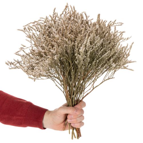 Itens Ramo de lavanda-da-praia seca, Statice natural, 1kg