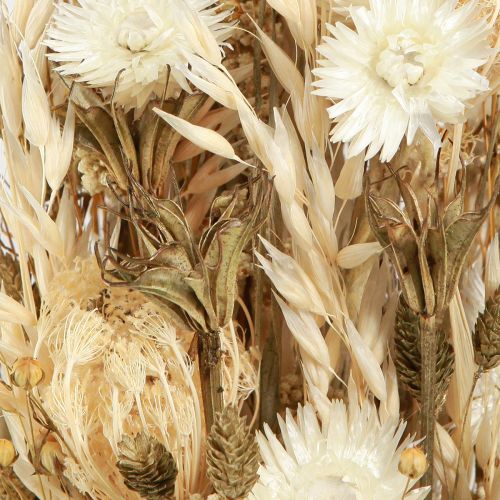 Itens Flores secas ouro branco com flores de tampa Phalaris 30cm 200g