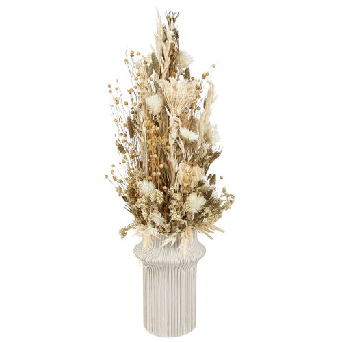 Floristik24 Flores secas ouro branco com flores de tampa Phalaris 30cm 200g