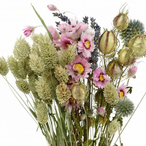 Floristik24 Buquê de capim selvagem com flores de palha flores secas 70g