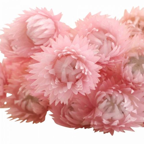 Itens Flores Secas Deco Cap Flores Palha Flores Coloridas Altura 42cm