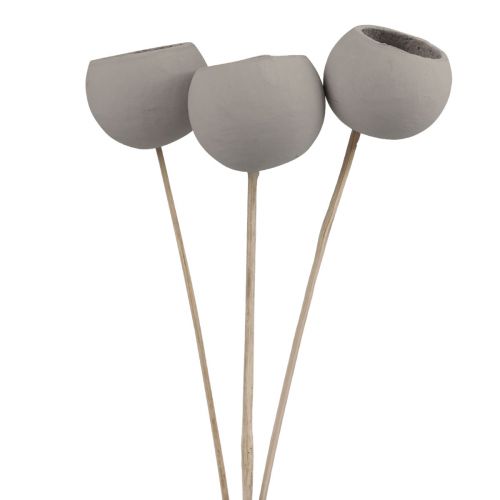Floristik24 Sinos decorativos de flores secas em haste cinza 37 cm 3 unidades