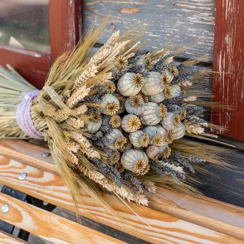 Itens Cápsulas de sementes de papoila secas flores secas naturais papoula deco 90g