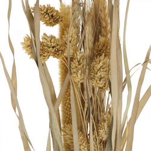 Floristik24 Ervas secas e cereais naturais em molho buquê seco 48cm