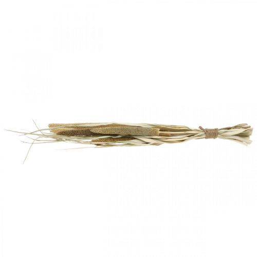 Itens Floricultura seca Grão Molho de espigas de milho secas 45cm
