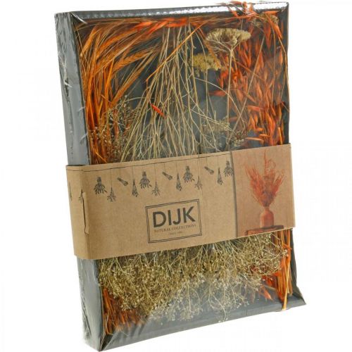 Floristik24 Caixa de Flores Secas Conjunto de Floricultura Seca Laranja