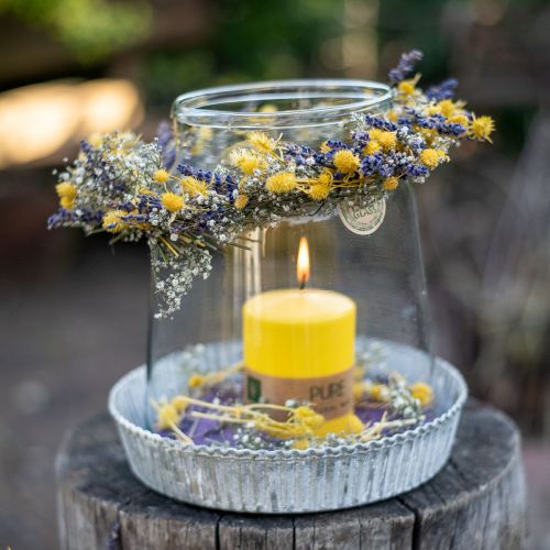 Itens Flores secas cardo amarelo seco cardo morango 100g